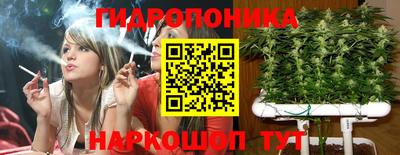 индика Заволжье