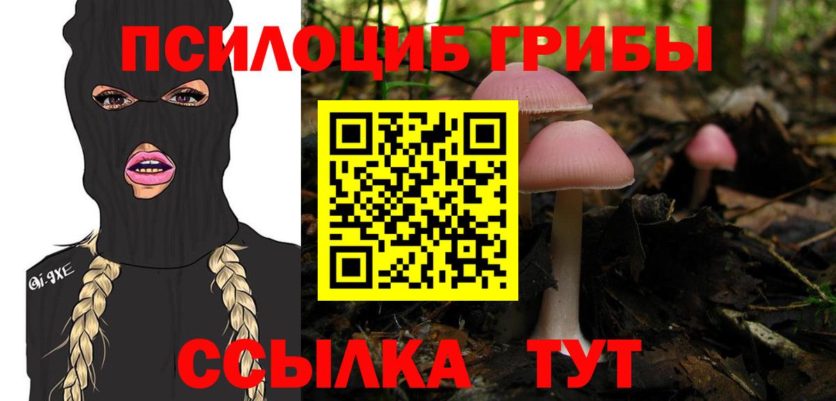 Минеральные Воды  Псилоцибиновые грибы MAGIC MUSHROOMS  Вход с VPN  Галлюциногенные грибы GOLDEN TEACHER 
